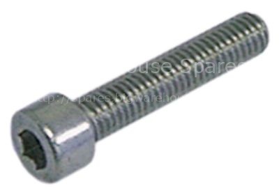 Cylinder head bolt thread M5 thread L 20mm WS 4 SS Qty 20 pcs DI