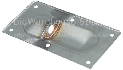 Bracket for level electrode