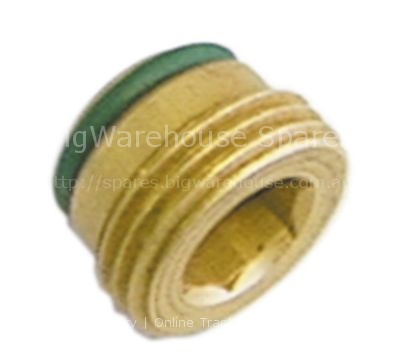 Plug thread 3/8" with O-ring