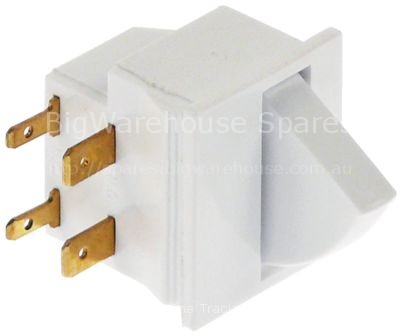 Microswitch with push button 250V 5A 1NO/1NC connection male fas