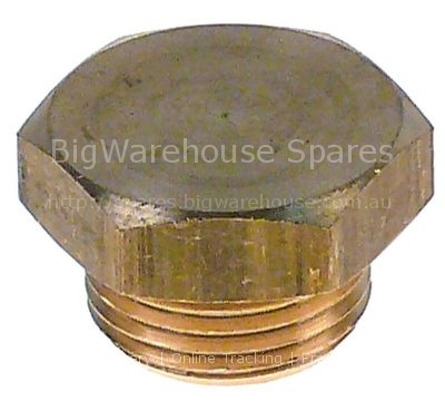 Screw cap thread 3/8" thread L 8mm brass WS 21 head thickness 6m