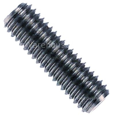 Thread bolt thread M8 L 25mm SS