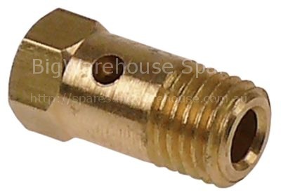 Internal nozzle thread M10 for water pipe L 22mm bore ø 3mm WS 1