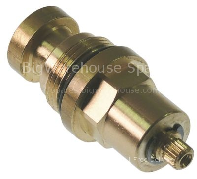 Tap head thread 3/4" cold/hot water H1 21 - 30mm H2 38mm H3 7mm