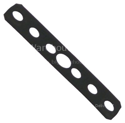Gasket L 100mm W 22mm 7 holes graphite thickness 1mm for heating