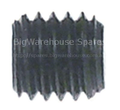 Grub screw thread M8 L 10mm steel DIN 916/ISO 4029 intake intern