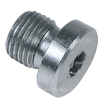 Locking screw thread 1/4" SS
