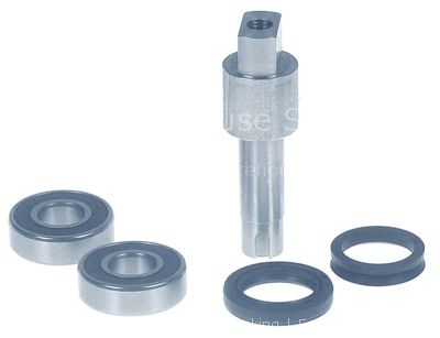 Shaft set with gasket and ball bearing potato peeler PP4 Expo sh