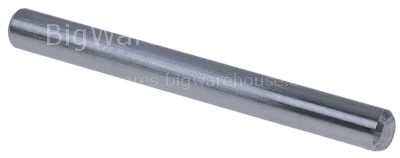 Spindle for sliding plate ø 12mm L 120mm