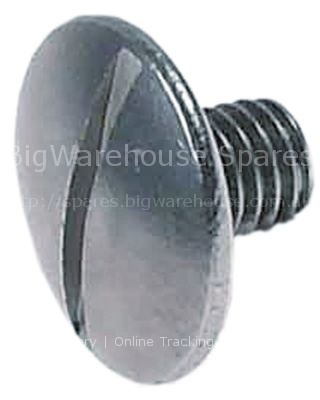 Oval head screw thread M8 stainless steel L 10mm slicer ø 22mm