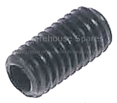 Grub screw thread M5 L 10mm DIN 916/ISO 4029 intake internal hex