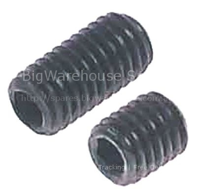 Grub screw thread M5 L 6/10mm DIN 916/ISO 4029 WS 2,5 set Qty 1