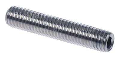 Thread bolt L 25mm thread M5 SS