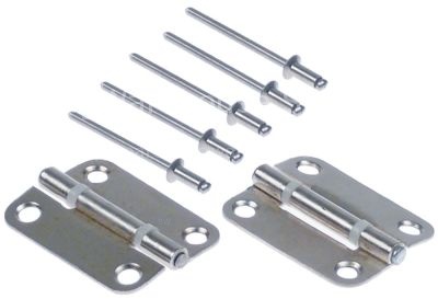 Hinge set total length 40mm W 31mm thickness 1mm mounting distan