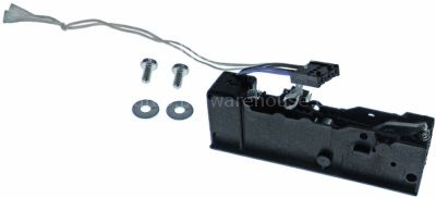 Door catch electric