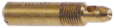 Bypass nozzle EGA type 31248 series bore ø 0,55mm total length 2