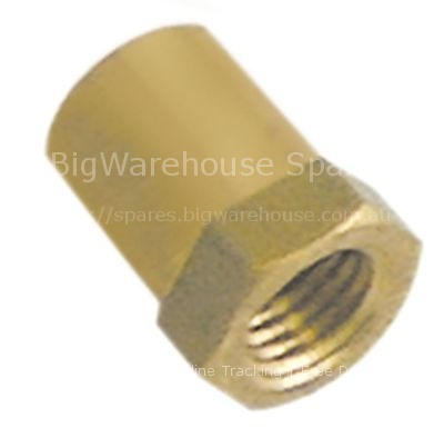 Thermocouple nut thread M8x1 H 15mm WS 11 brass Qty 1 pcs