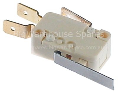 Microswitch with lever 250V 0,1A 1CO connection male faston 6.3m