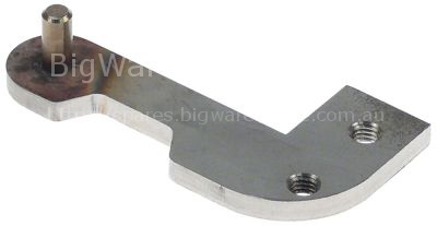 Hinge L 78mm W 40mm H 5mm mounting distance 21mm mounting pos. l