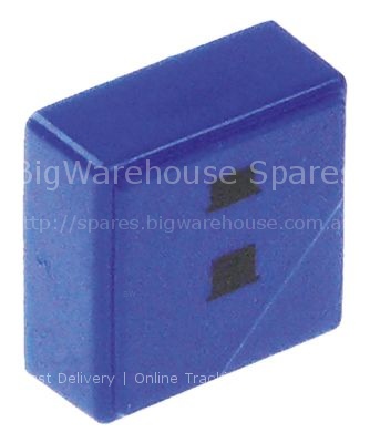 Push button size 23x23mm blue programme