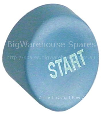 Push button blue-grey START