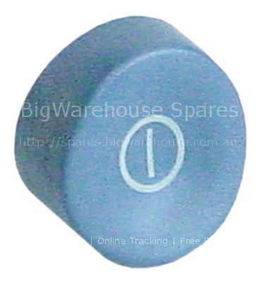 Push button blue-grey ON-OFF
