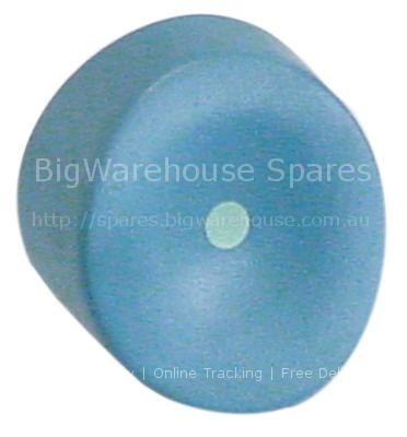 Push button blue-grey point