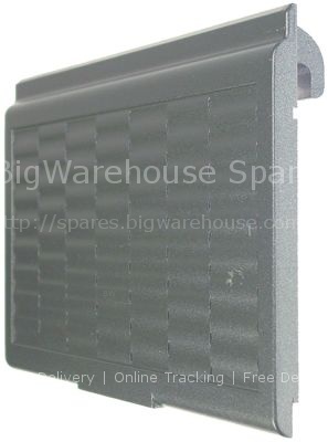 Door for ice-cube maker W 345mm H 195mm thickness 14mm