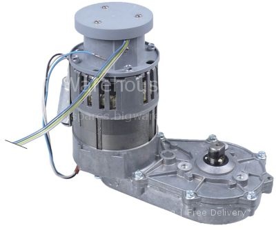 Gear motor type 794225 220V voltage AC 5060Hz shaft  222mm L
