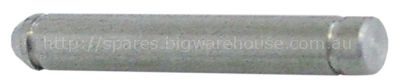 Door shaft