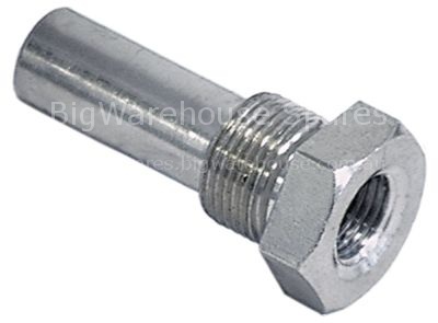 Thermowell thread M14x1 IT M10x1 ET M14x1 L 34mm SS single ø 9mm