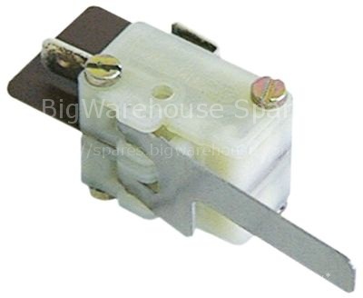 Microswitch with lever 16A 2NO connection male faston 6.3mm
