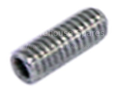Grub screw thread M6 L 16mm in stainless steel DIN 916/ISO 4029