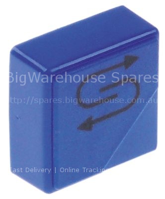 Push button size 23x23mm blue regeneration