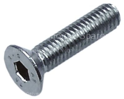Countersunk screw thread M6 L 20mm WS 4 SS DIN 7991/ISO 10642 Qt