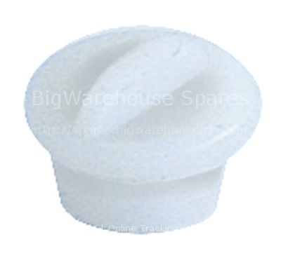Screw for rinse aid container