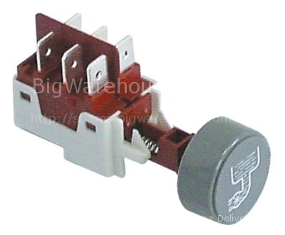 Momentary push switch round grey 2CO 250V 16A without frame drai