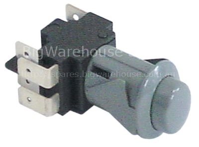 Momentary push switch mounting measurements 20,6x16,4mm oval gre