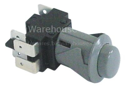 Push switch mounting measurements 20,6x16,4mm oval grey 2CO 250V