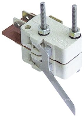 Microswitch with double lever 250V 16A 2CO connection male fasto