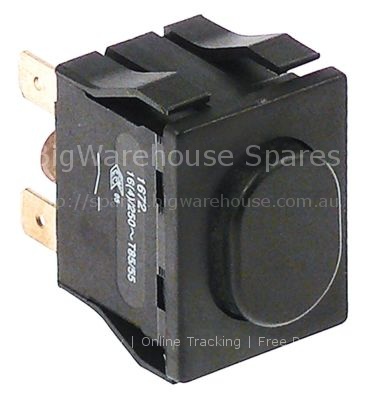 Momentary push switch mounting measurements 30x22mm oval black 1