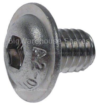 Side bolts thread M6 L 8mm DIN 916/ISO 4029 intake hexagonal