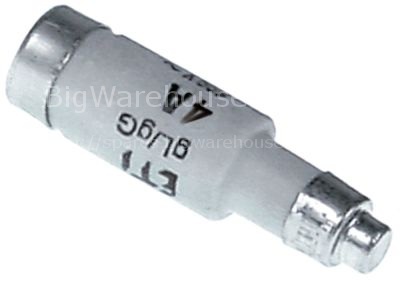 Fuse size D01 6A rated 250/400V E14 ø 11mm L 36mm Qty 10 pcs