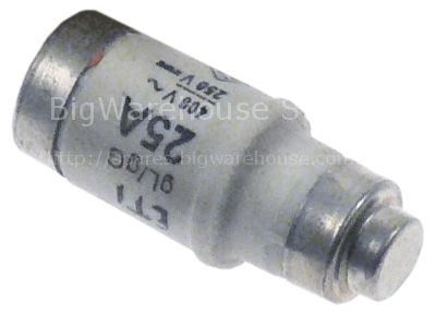 Fuse size D02 25A rated 250/400V E18 ø 15mm L 36mm Qty 10 pcs