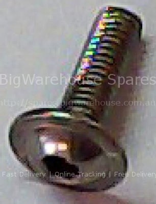 Oval head screw