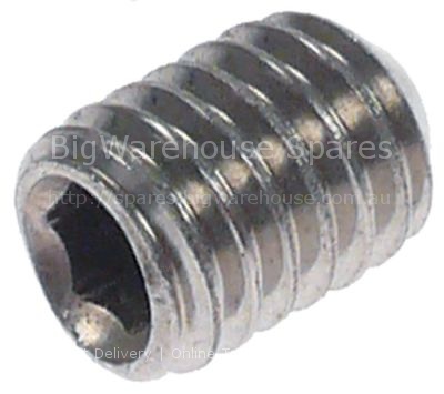 Grub screw thread M6 L 8mm stainless steel intake internal hexag