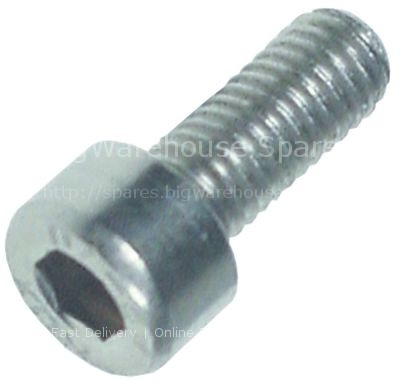 Cylinder head bolt thread M5 thread L 12mm WS 4 SS Qty 20 pcs DI