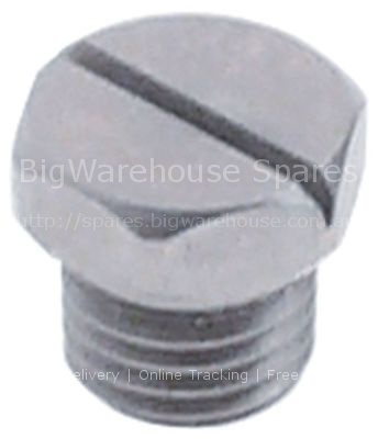 Rinse jet H 10mm thread 1/16" NPT WS 10
