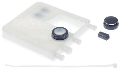 Backflow preventer kit