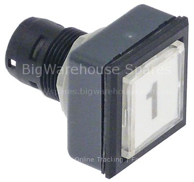 Momentary switch unit mounting measurements  type momentary whit